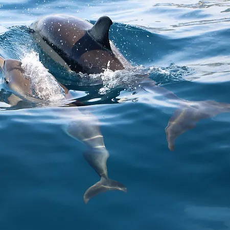 Σπίτι διακοπών Casa R